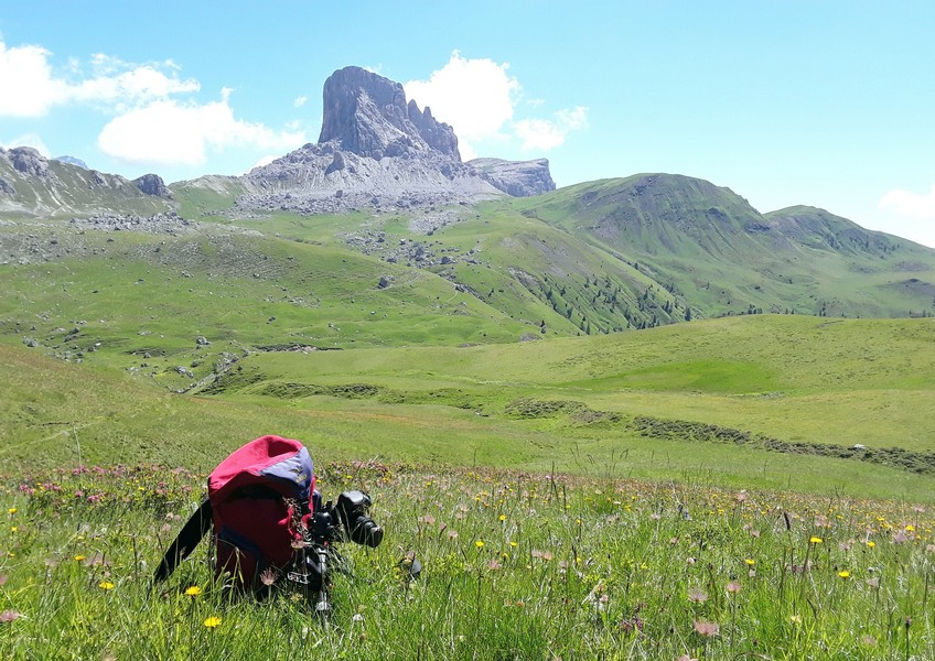 MONDEVAL: le orchidee e la preistoria.